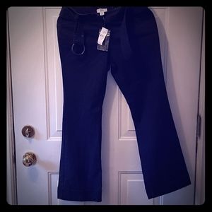 Ann Taylor Navy Loft petite pants.